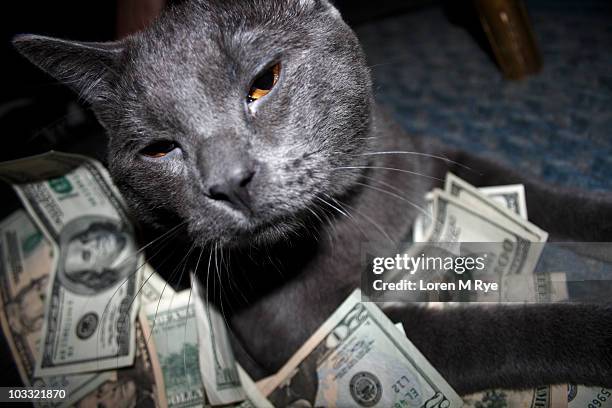 Rezeki Adalah Hak Prerogratif Allah